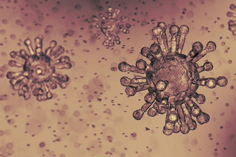 coronavirus